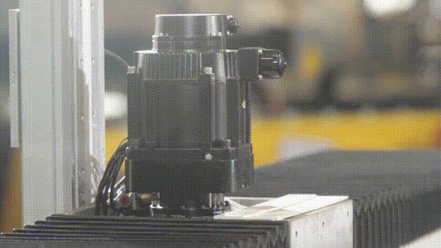 20211015_155551_11.gif